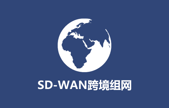 SD-WAN 跨境组网